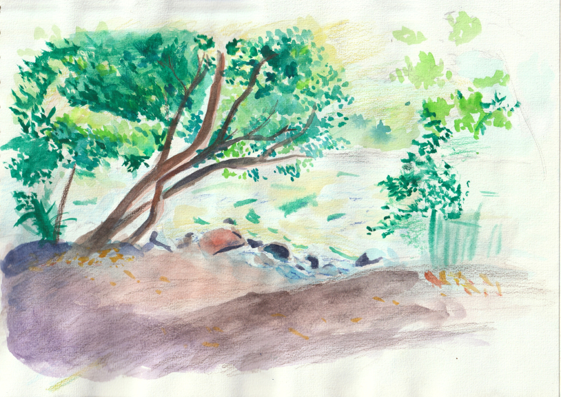 parc-st-lary-aquarelle.jpg