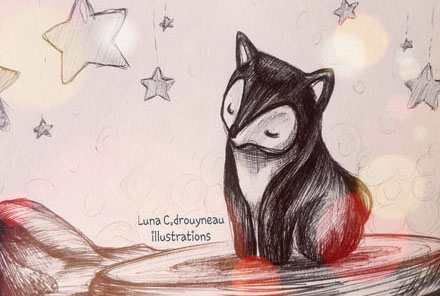 petit-renard-luna-copie.jpg