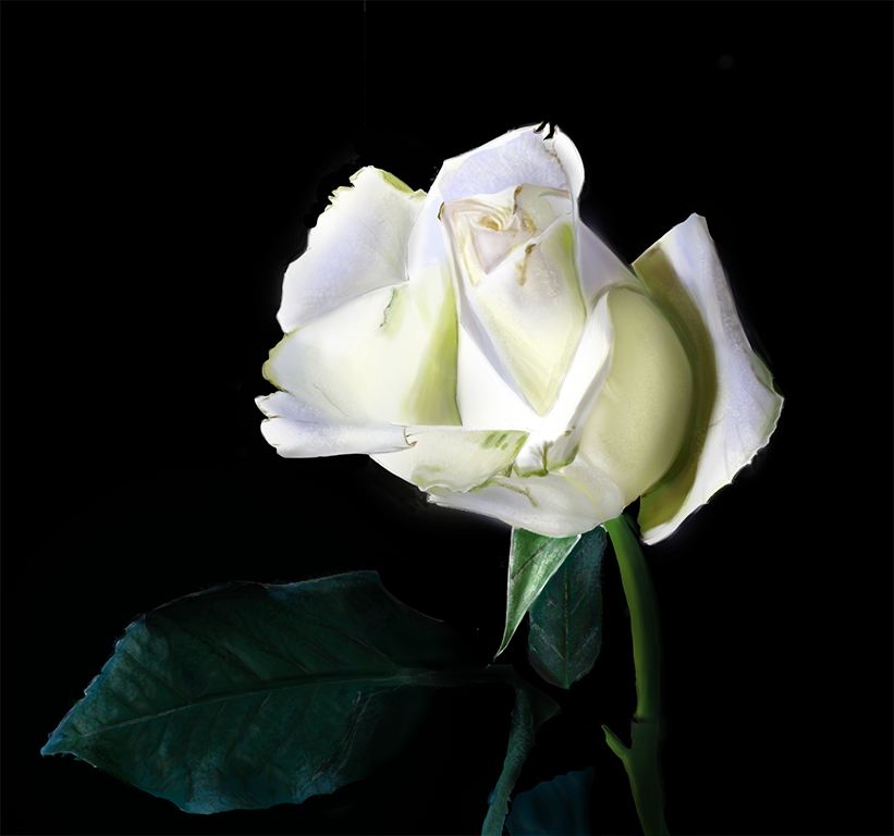 photo_exercice_lasso2-Lau-Lo.png