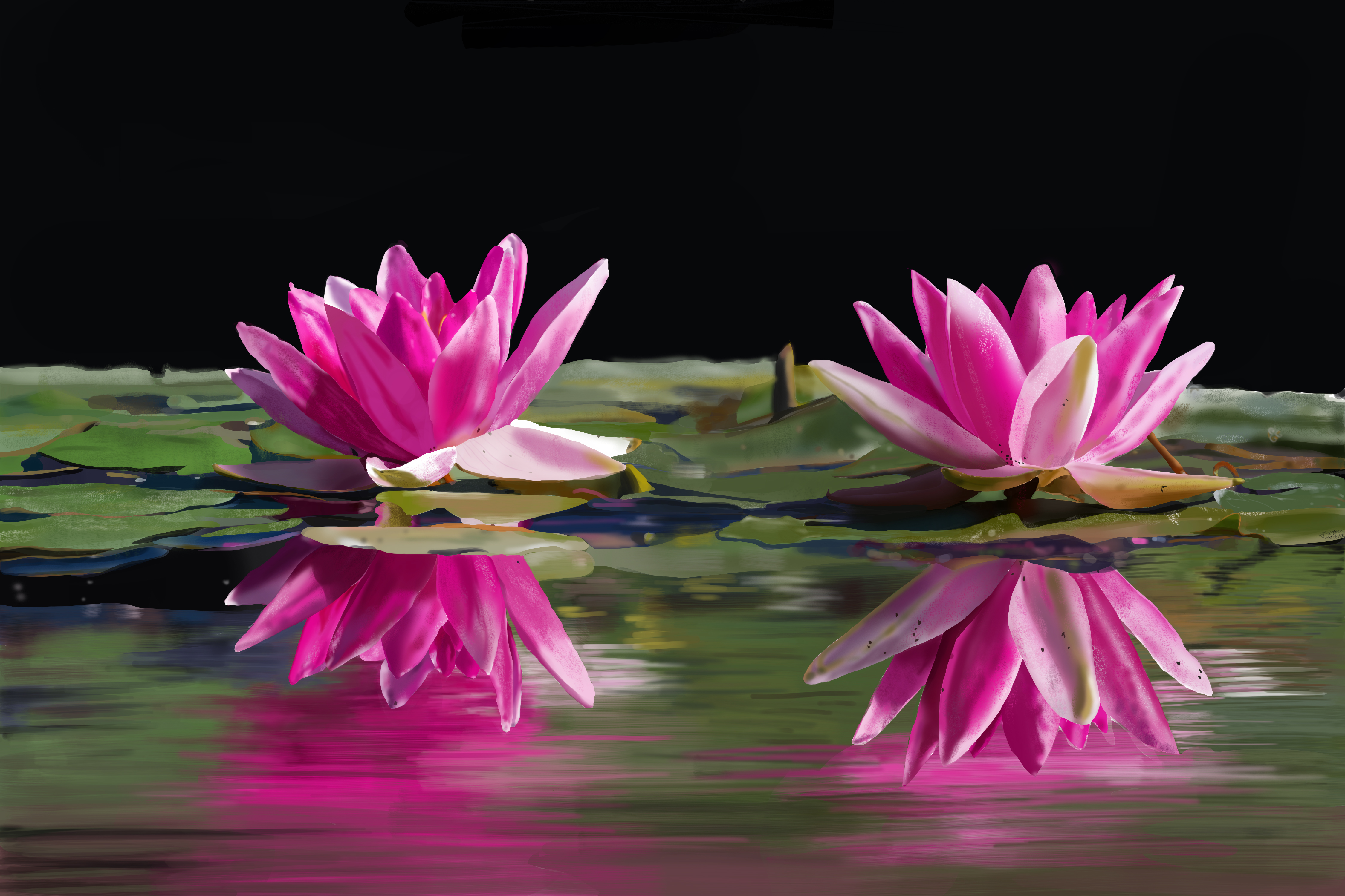 photo_exercice_lasso3-Biquette-lotus.jpg