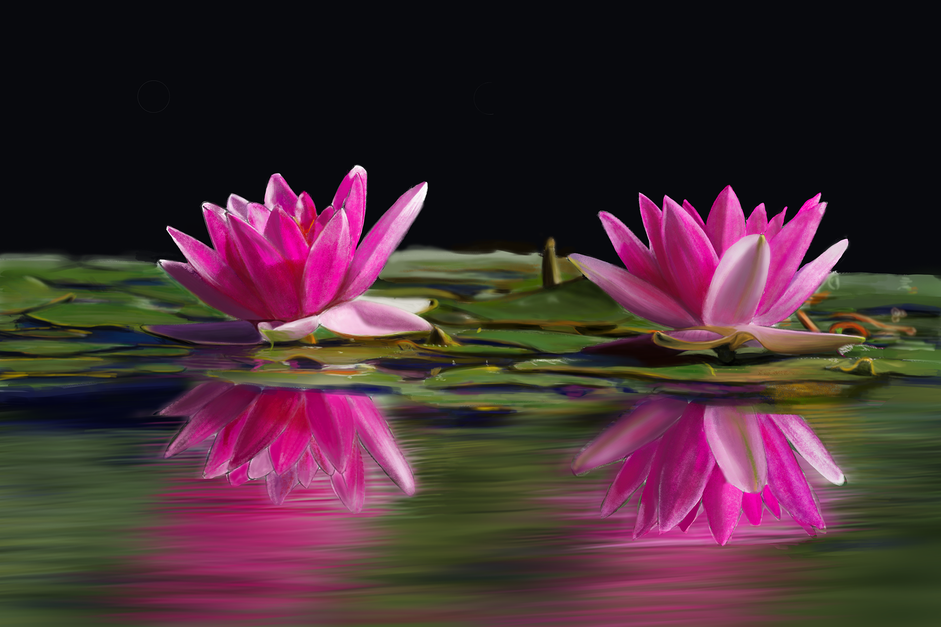 photo_exercice_lasso3-Lau-light.png