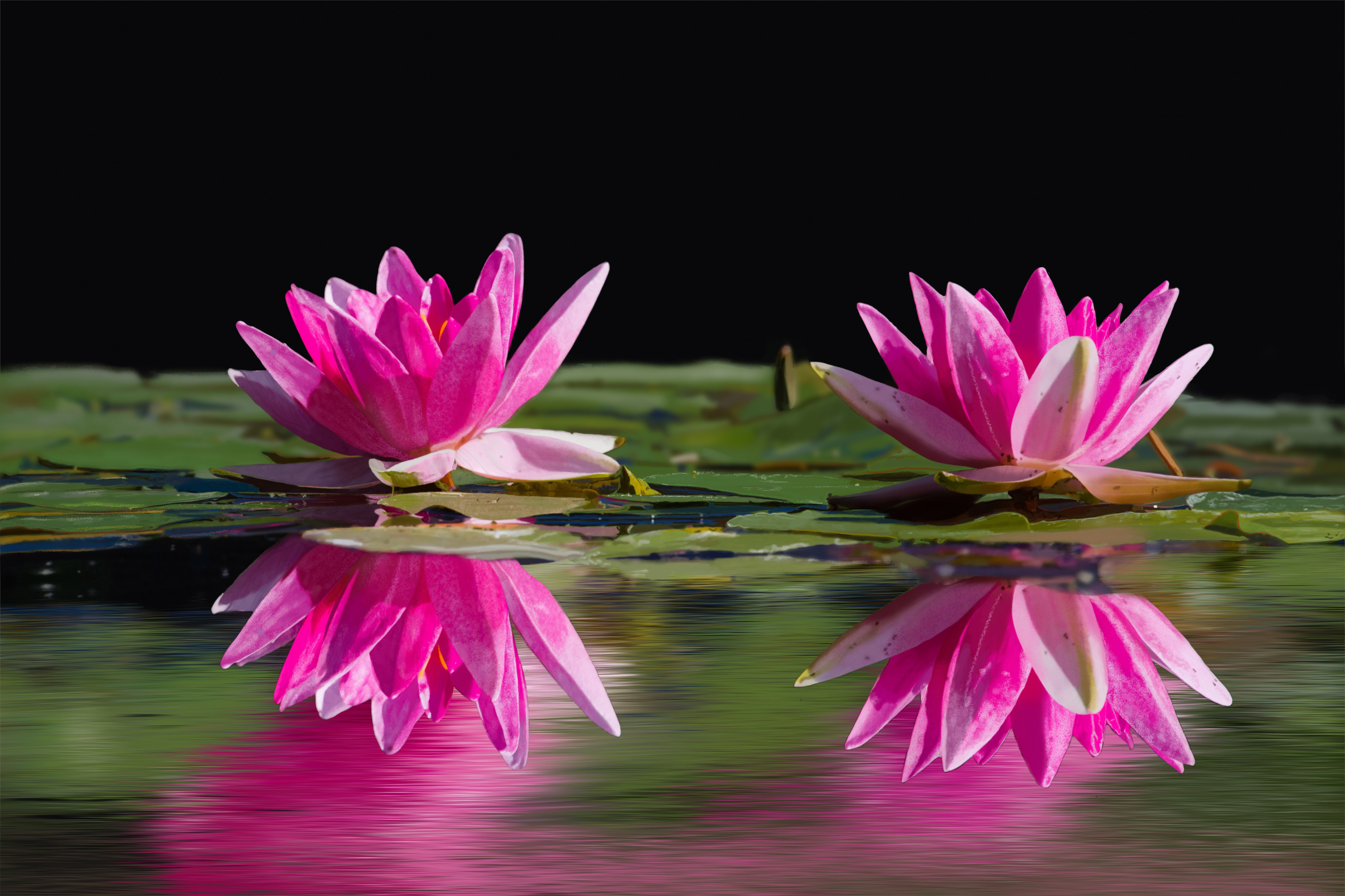 photo_exercice_lasso3-aurelie-final-vers