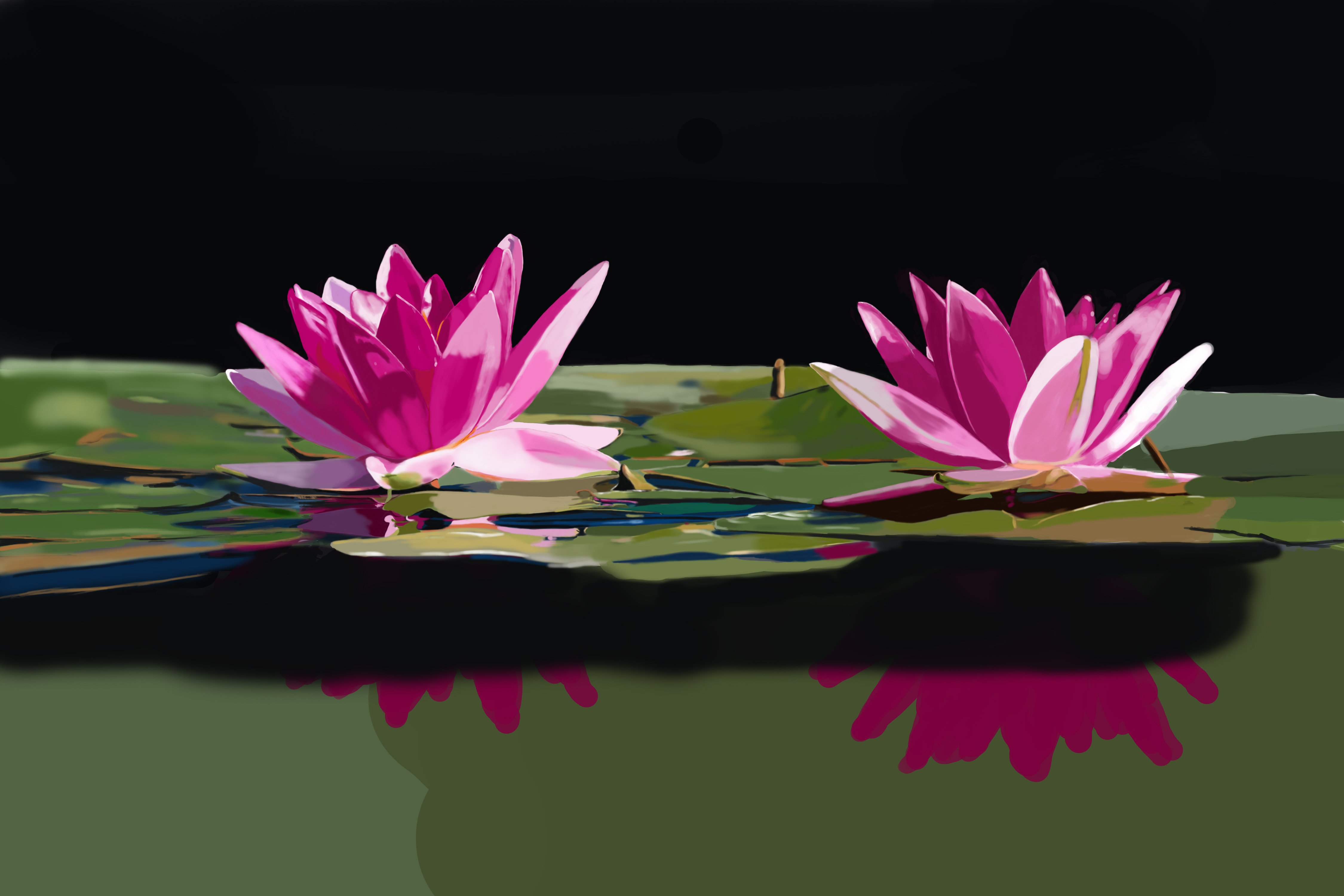photo_exercice_lasso6wip2.jpg
