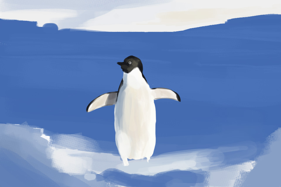 pinguin-%C3%A9tude.jpg