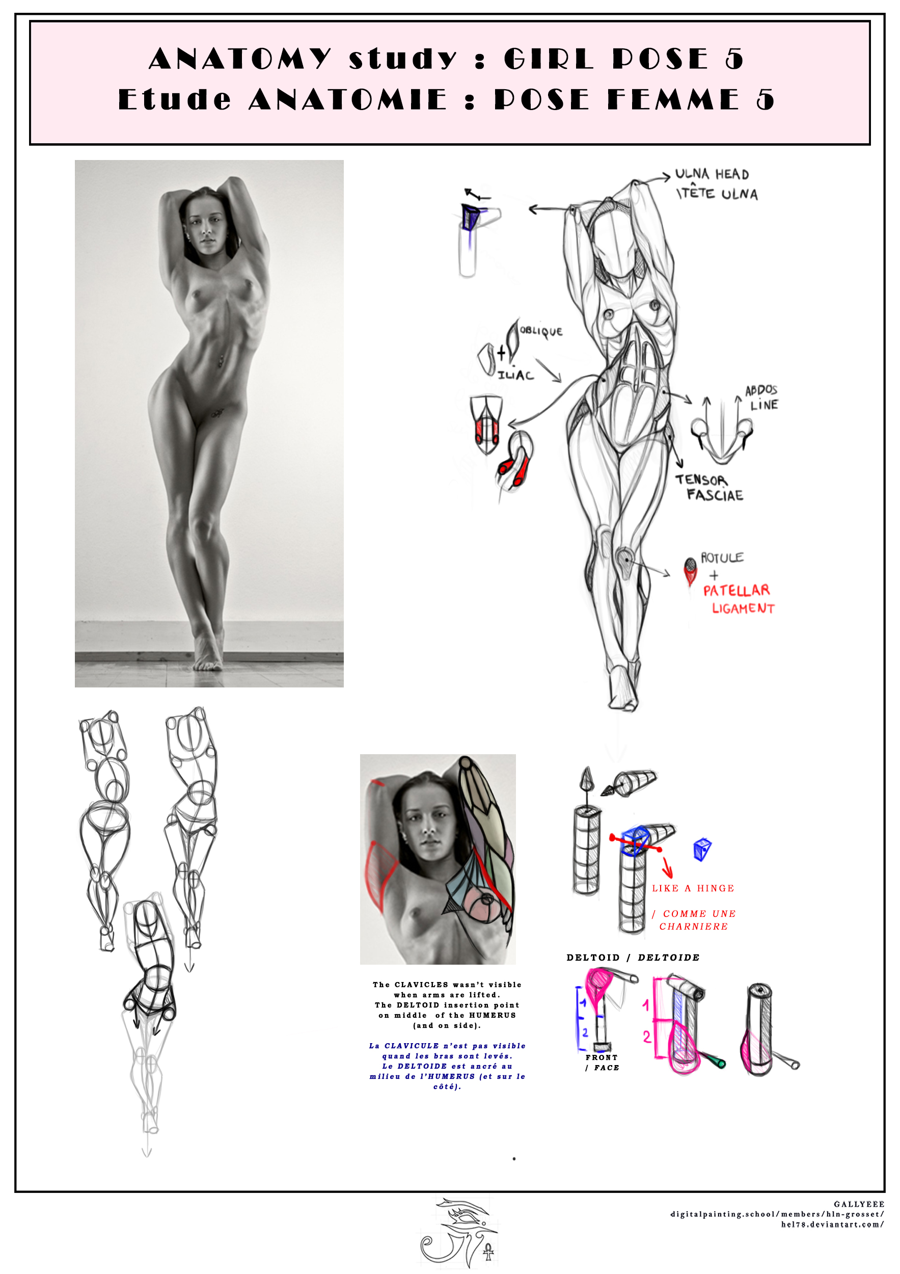 planche-etude-pose-5.jpg