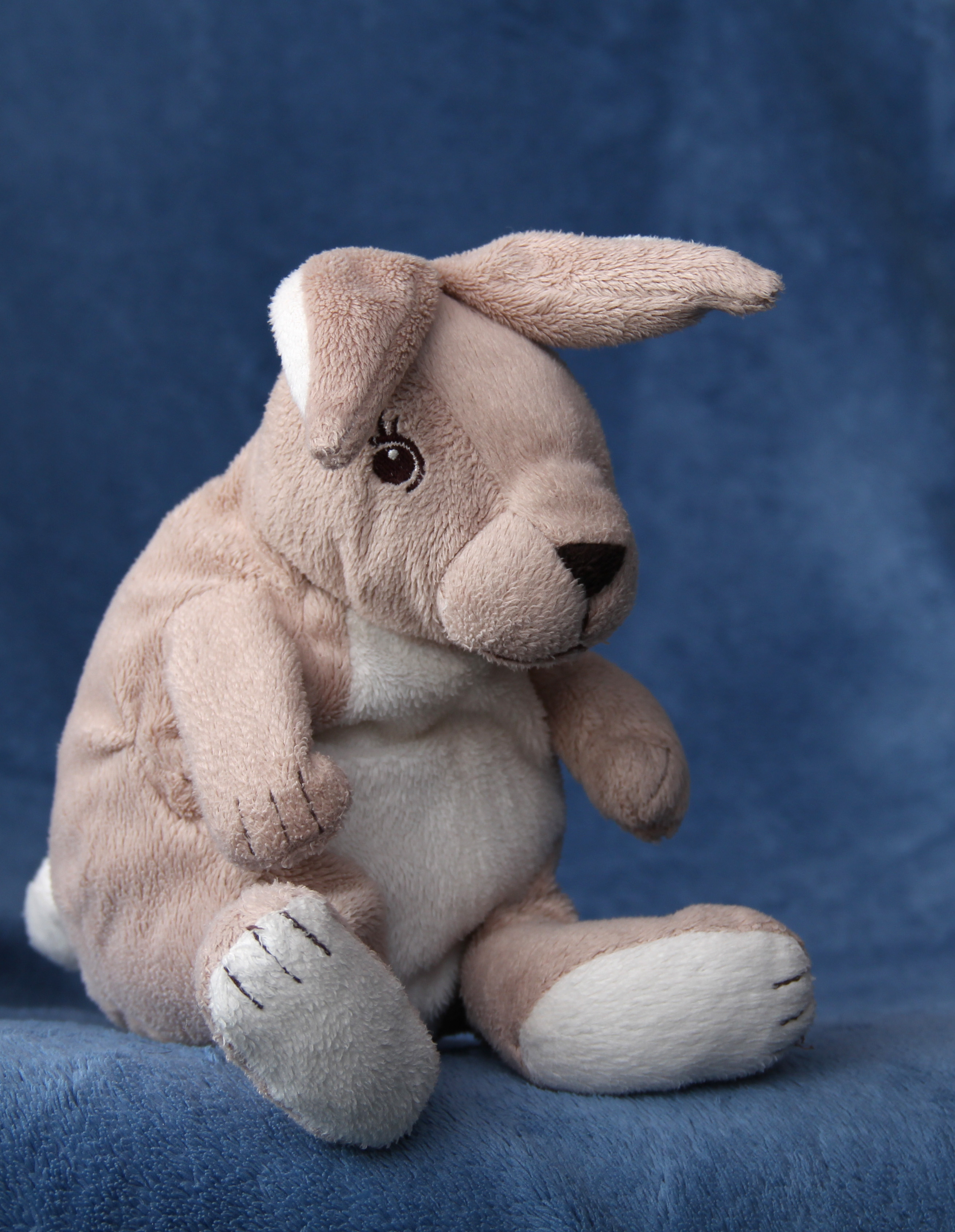 plush-bunny-1412444-2.jpg