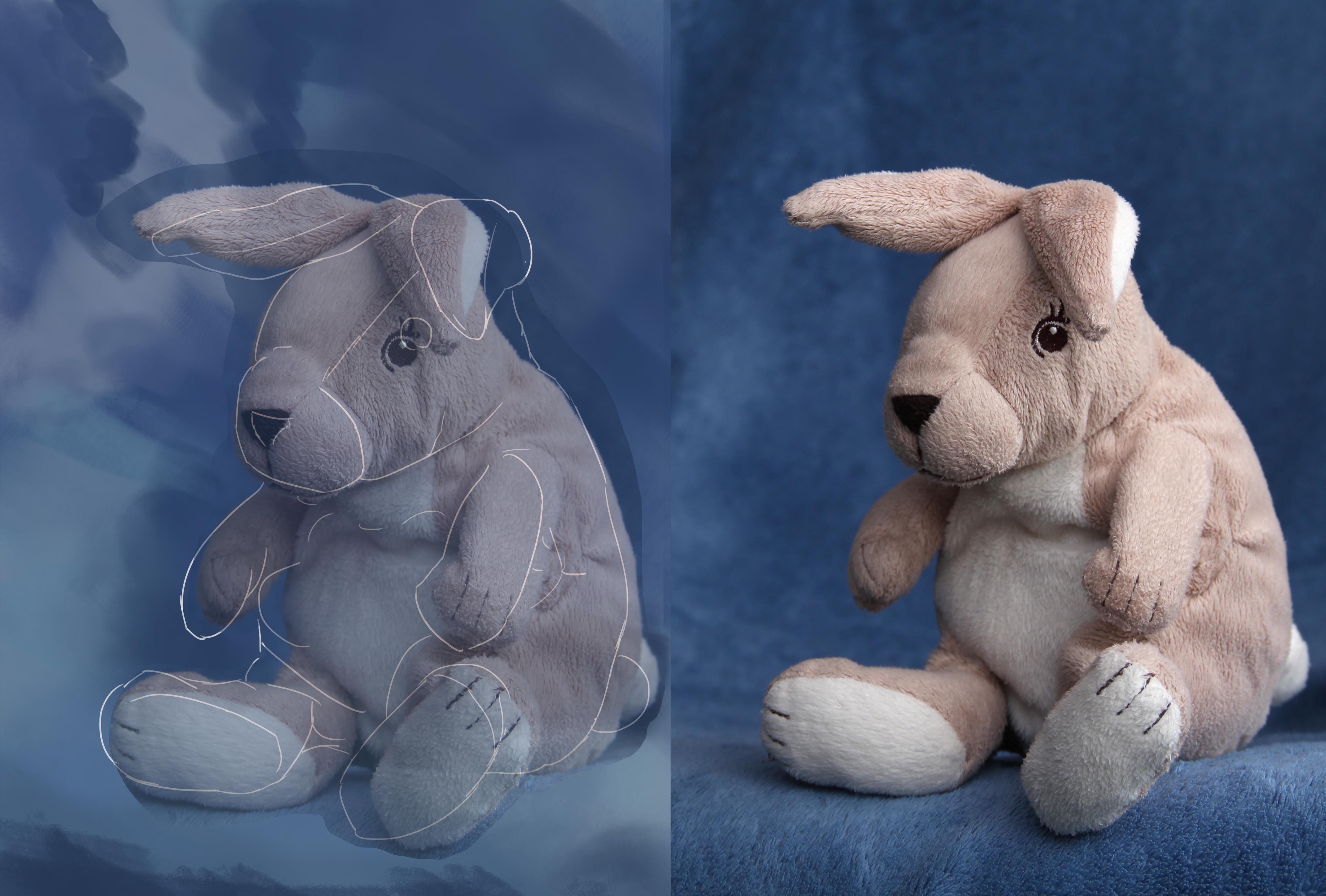 plush-bunny-1412444-correction0.jpg