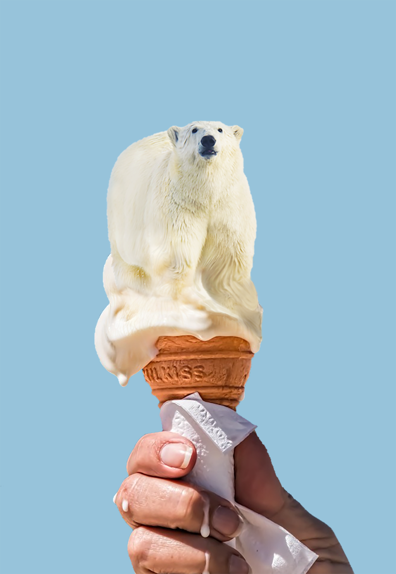polar-bear-1.png