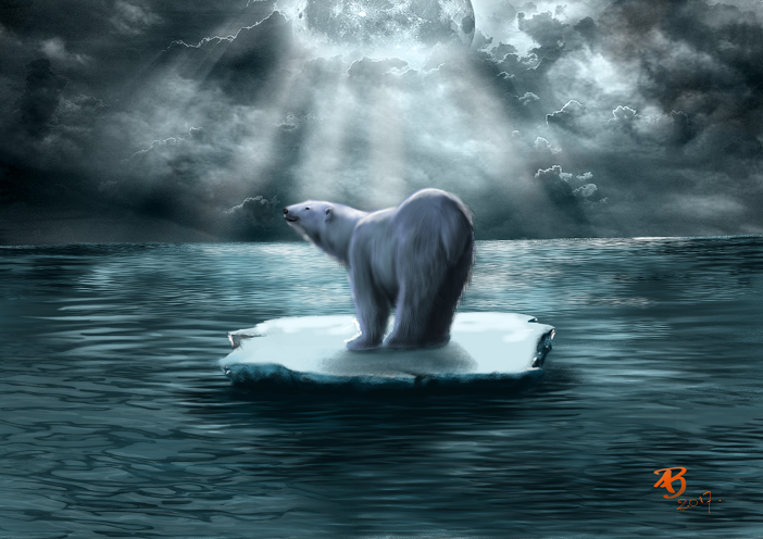 polar-bear.png