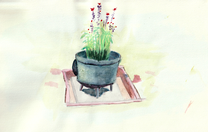 pot-fer-aquarelle.jpg