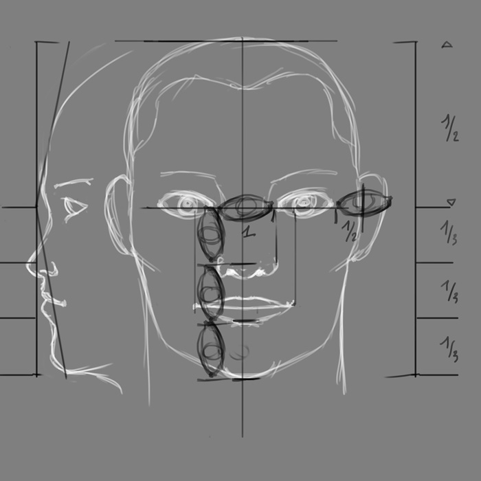 proportion-visage.jpg