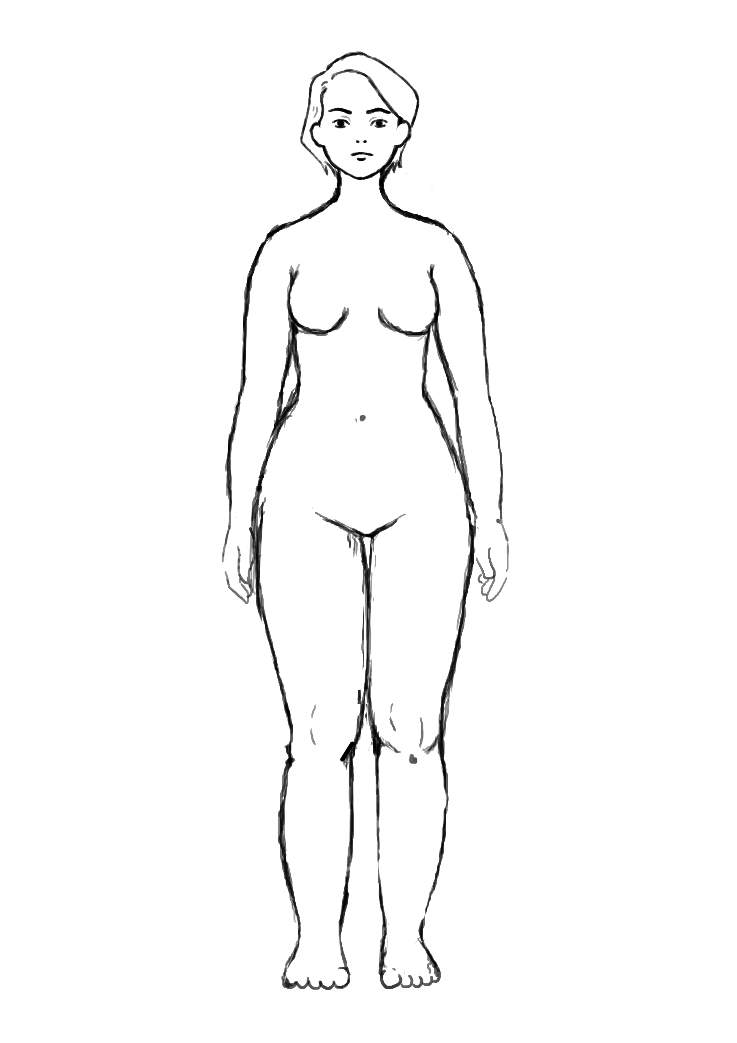 proportions1.jpg