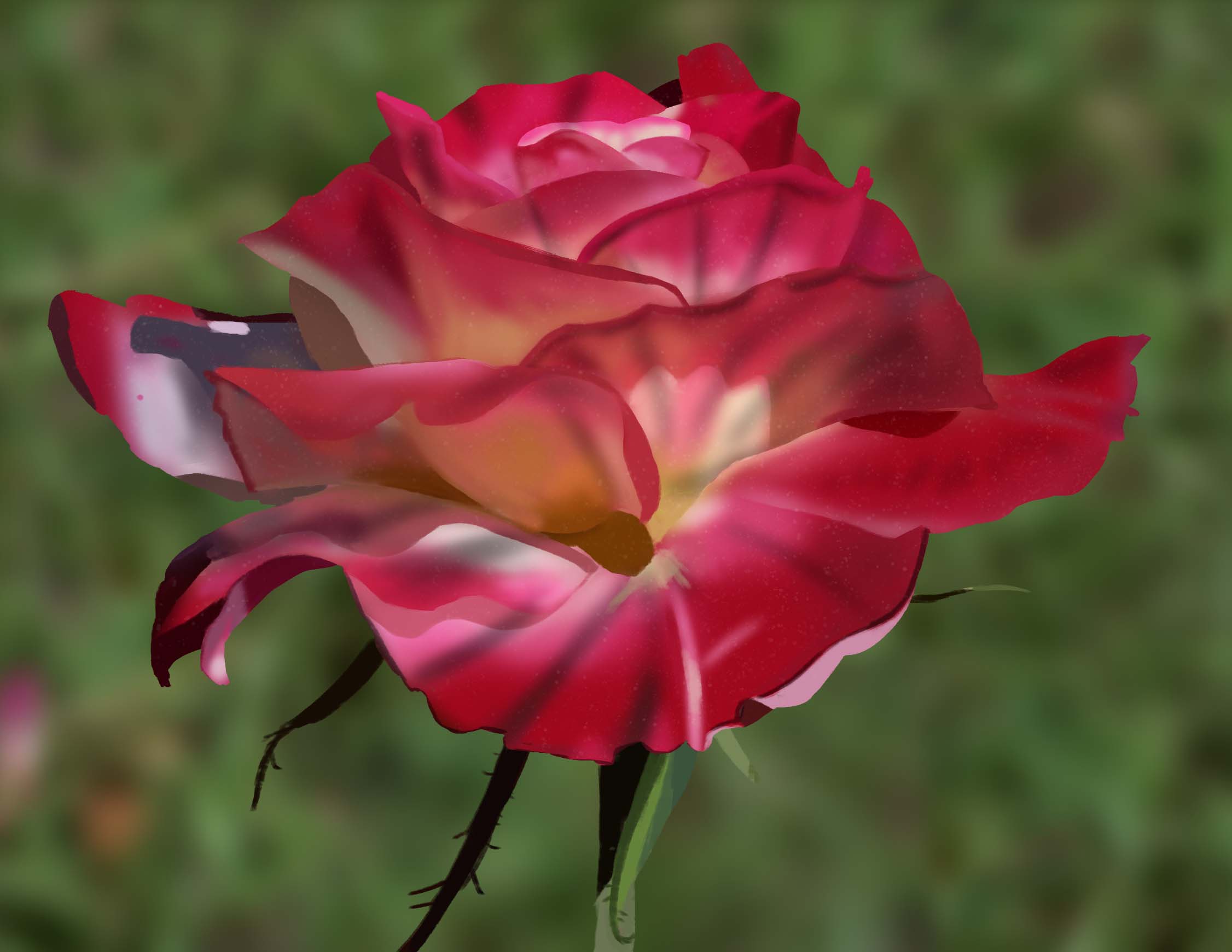 rose-19.jpg
