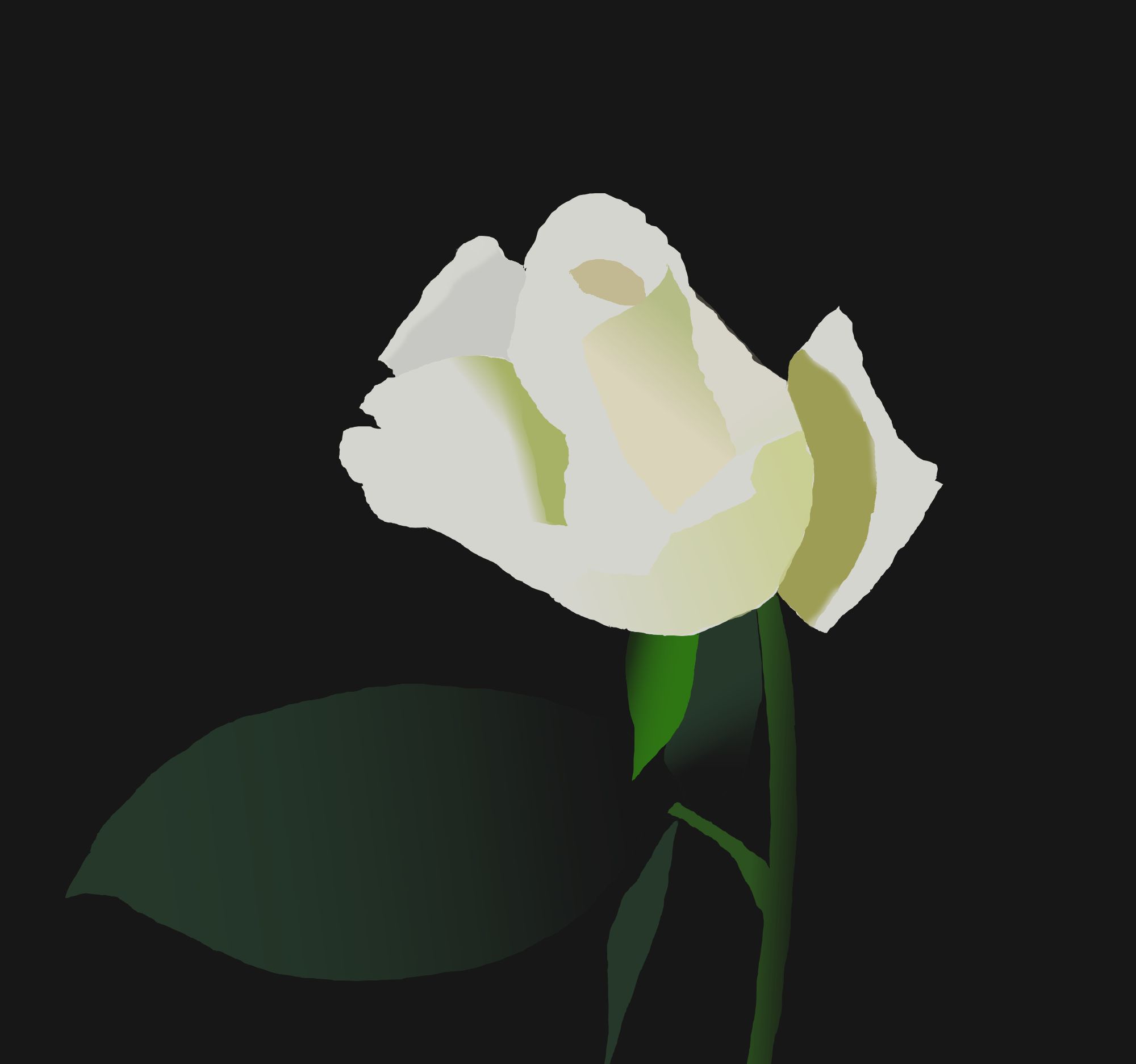 rose_colorisation1.jpg