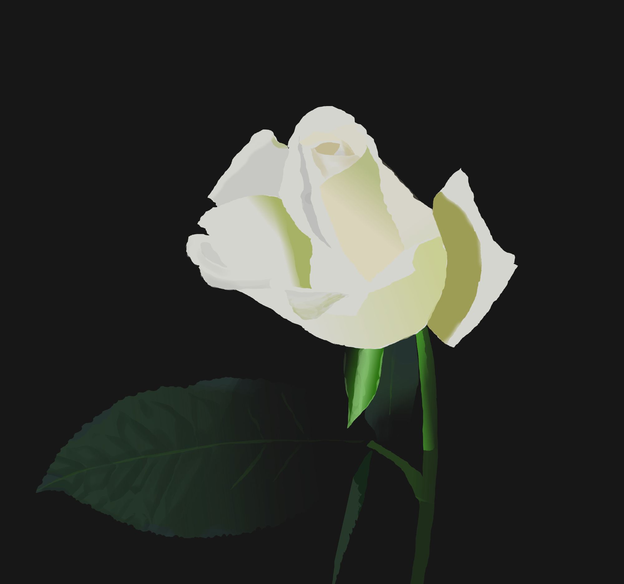 rose_colorisation2.jpg