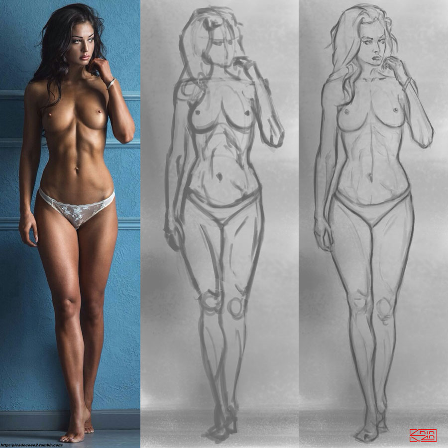 sketch.anatomy.007.compare.jpg