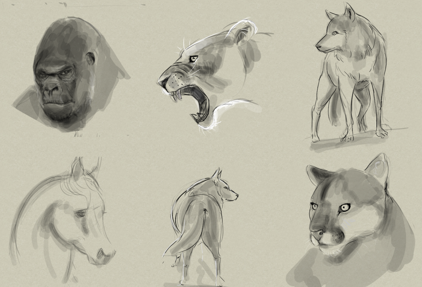 sketch_animals1.png