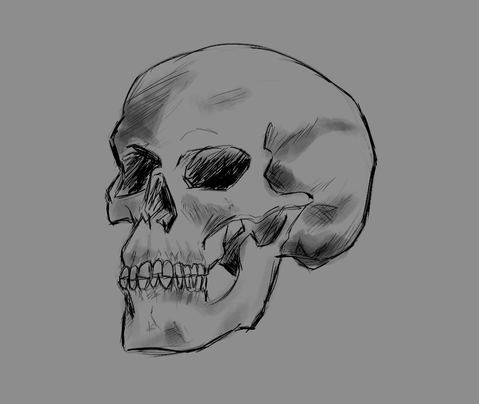 skull-1.png