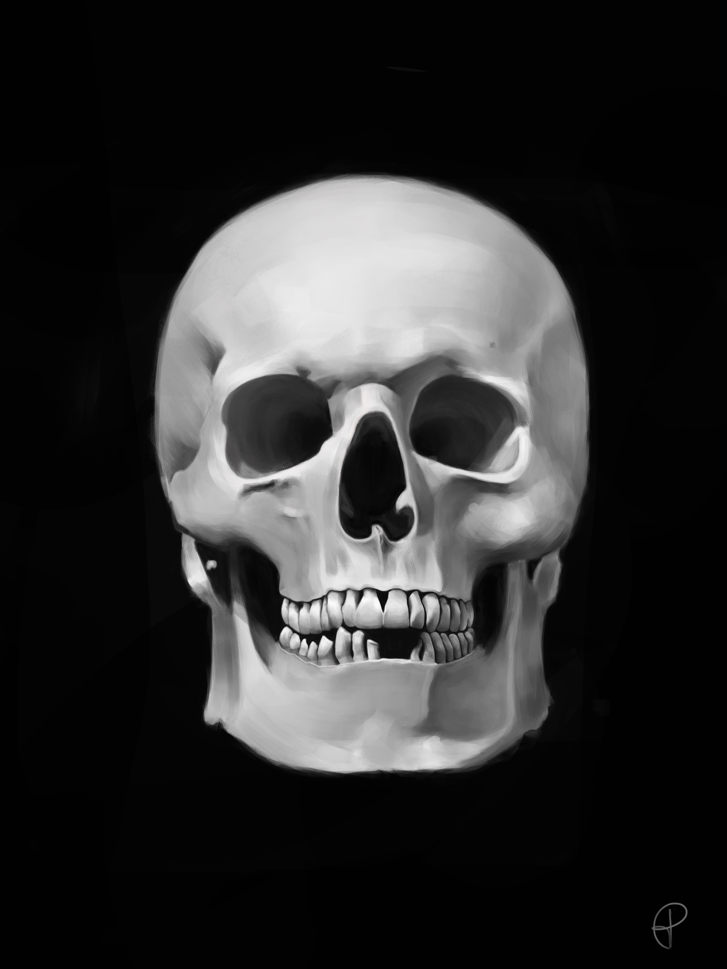 skull-3.jpg