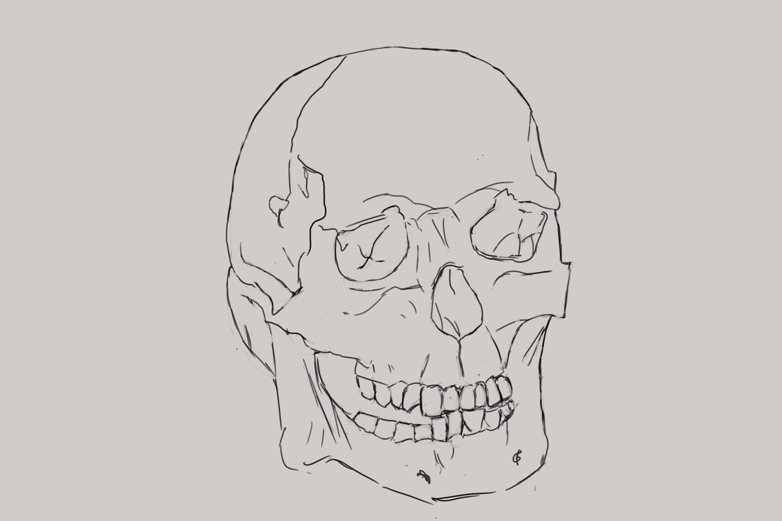 skull-exo-croquis.jpg
