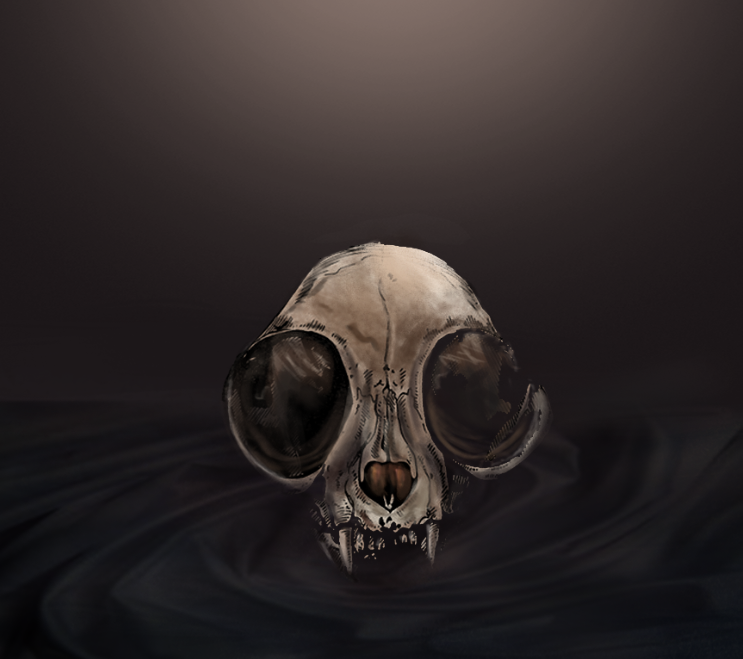 skull.png