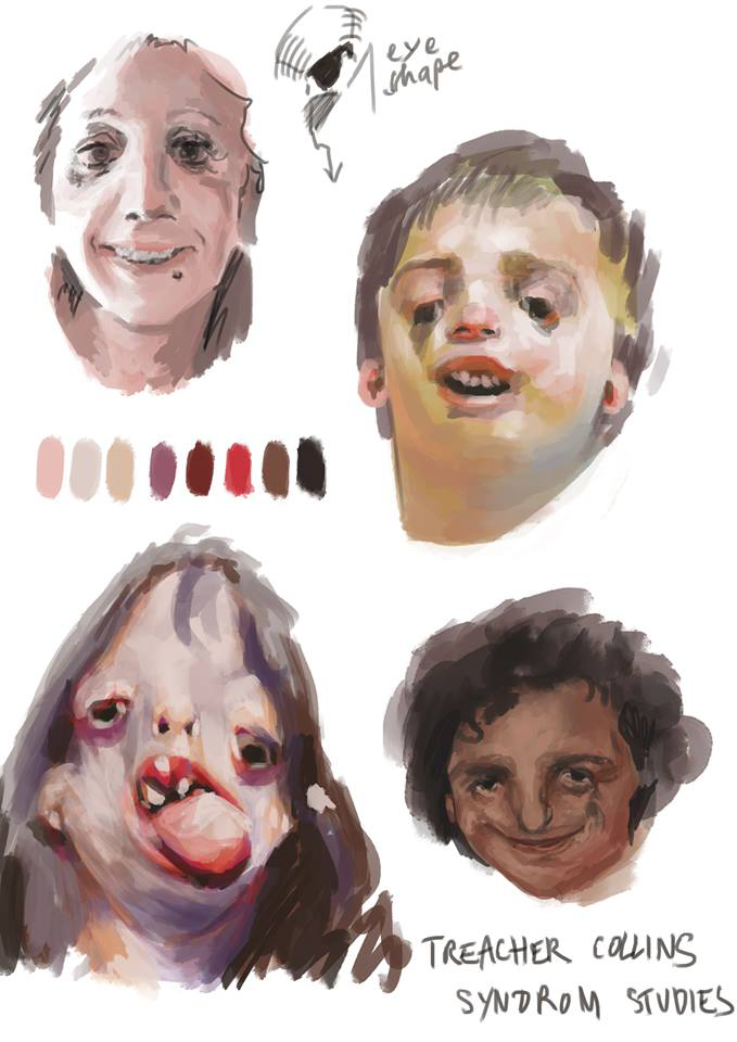 studies.png