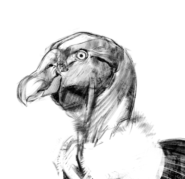 study-burb2.jpg