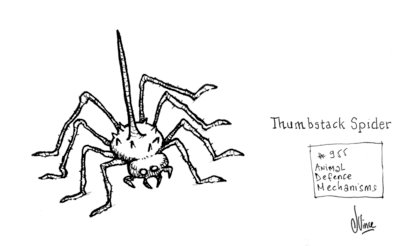 thumbtack_spider_by_chezjv-dbor24v.jpg