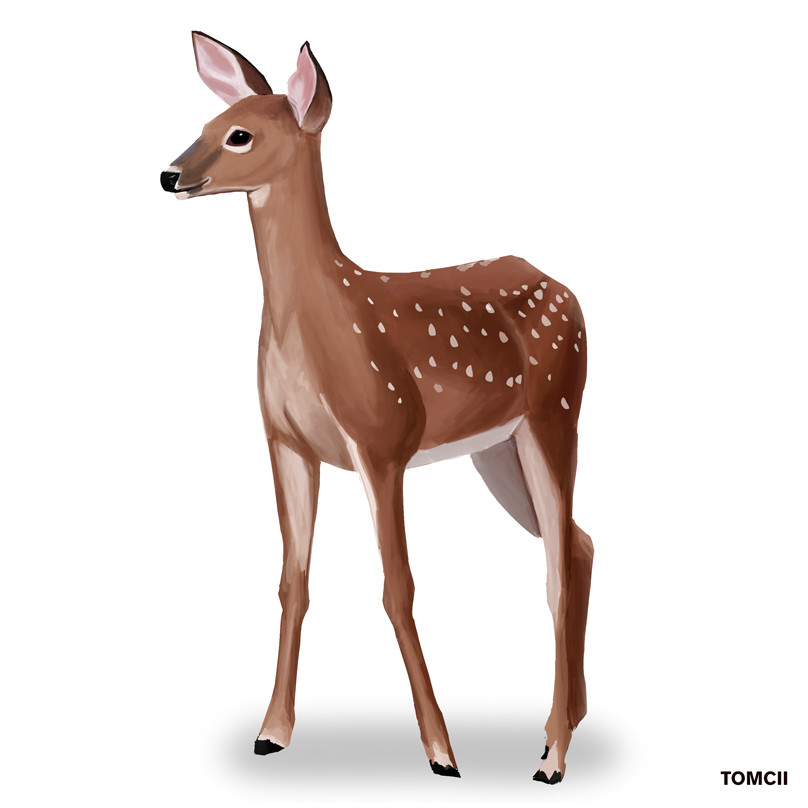 tomcii-art-by-thomas-horvath-deer-5.jpg