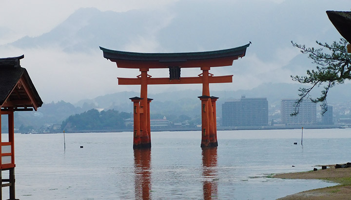 torii-brume-big.jpg