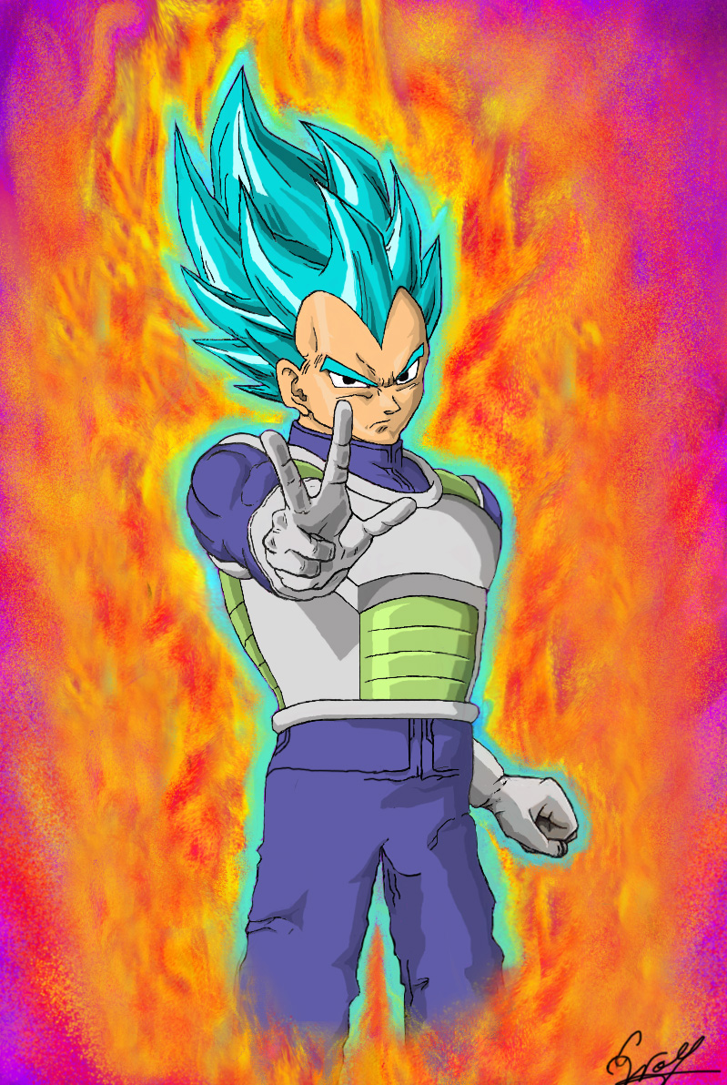 vegeta-fin-1.jpg