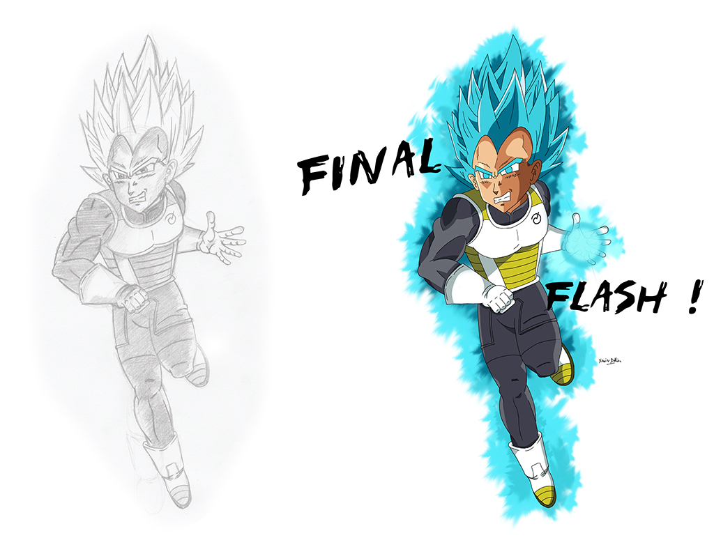 vegeta_final_.jpg