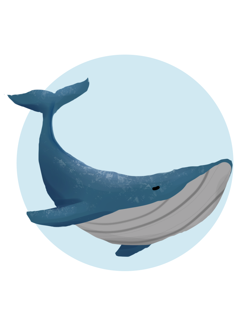 whale.png