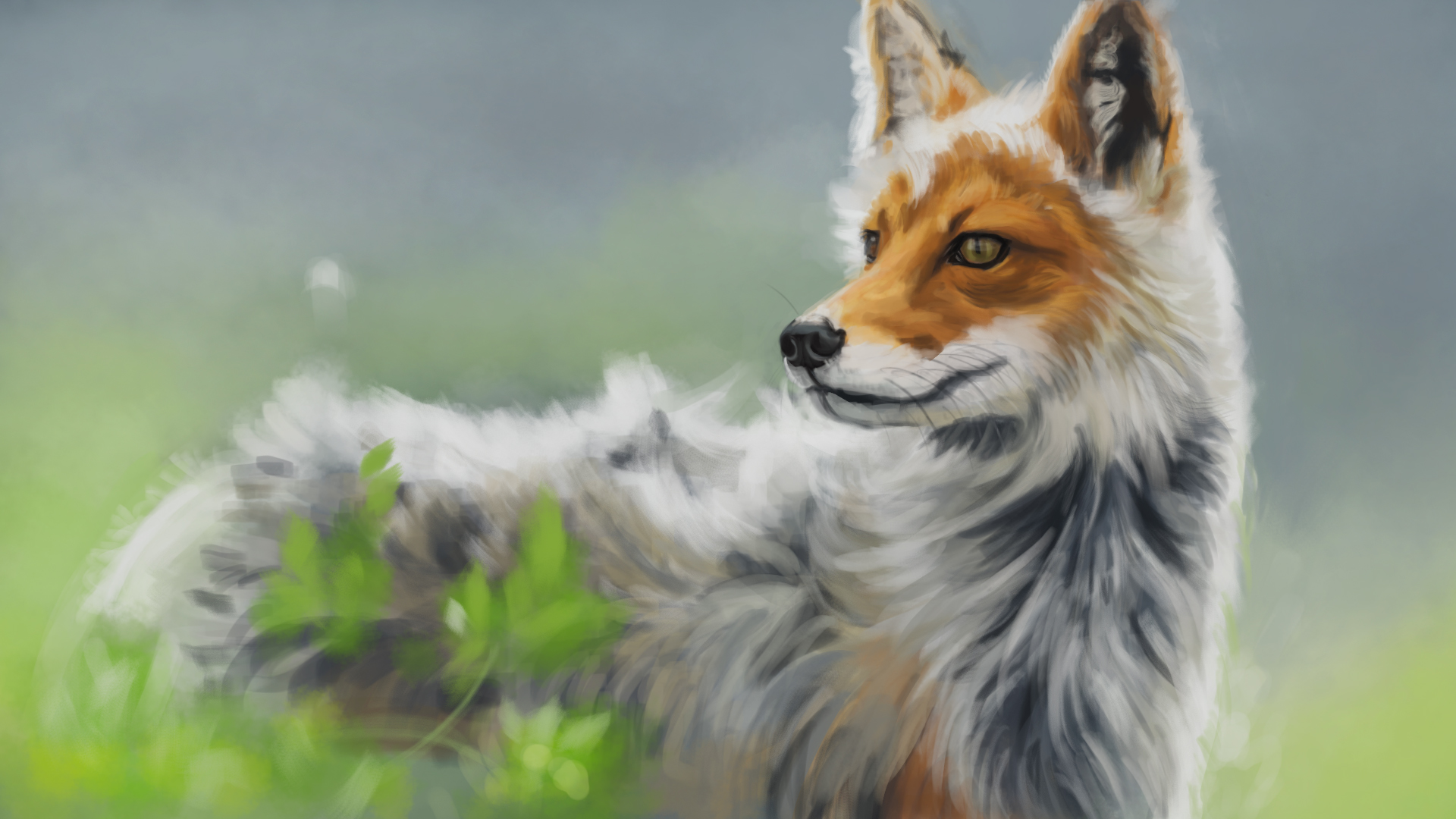 wild-30b.jpg