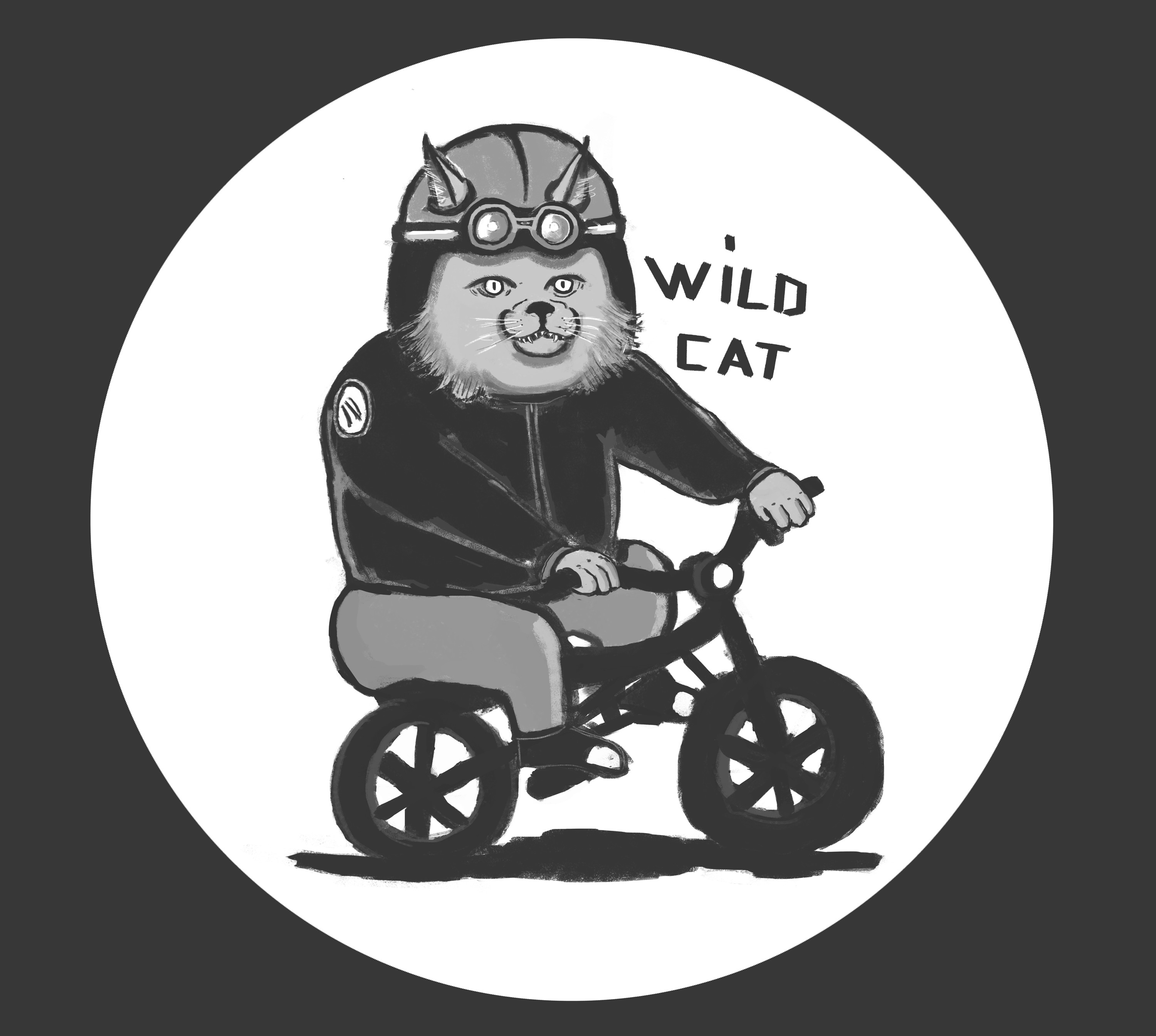 wild-cat.jpg