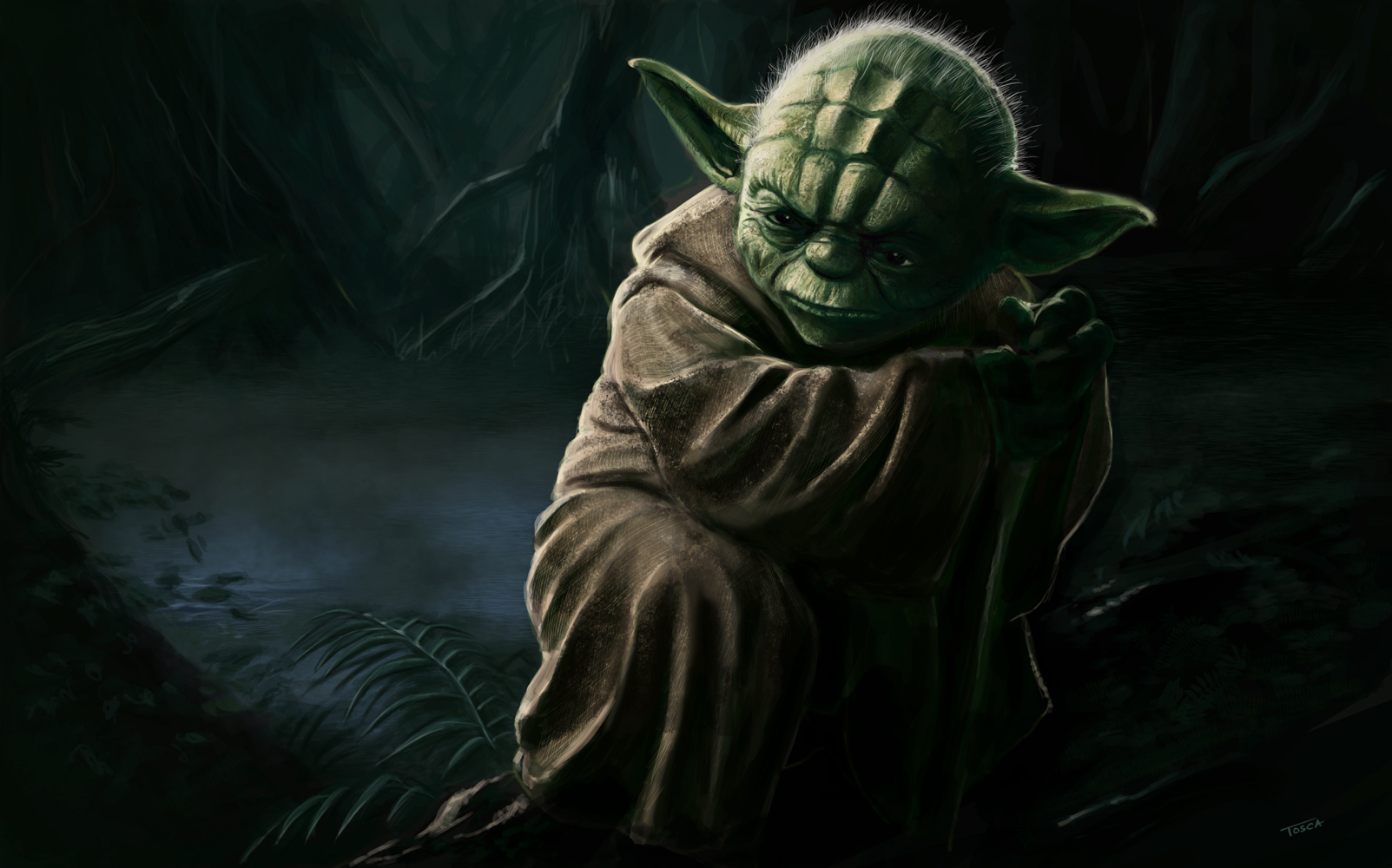 yoda-fin.jpg
