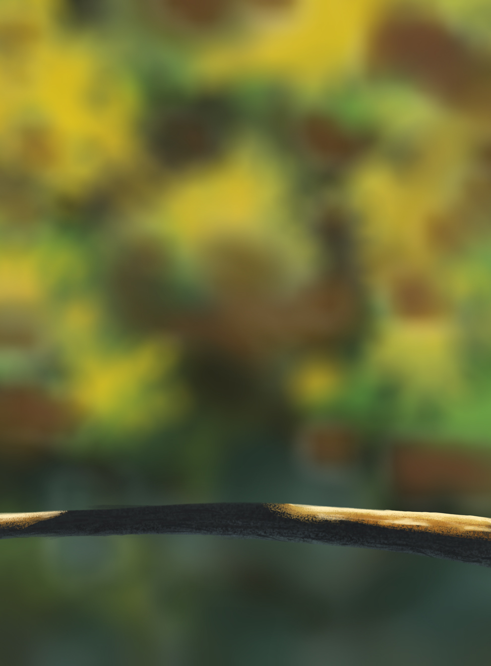 DPS-Prog-1-1-Exercice5-Oiseau-Commenceme