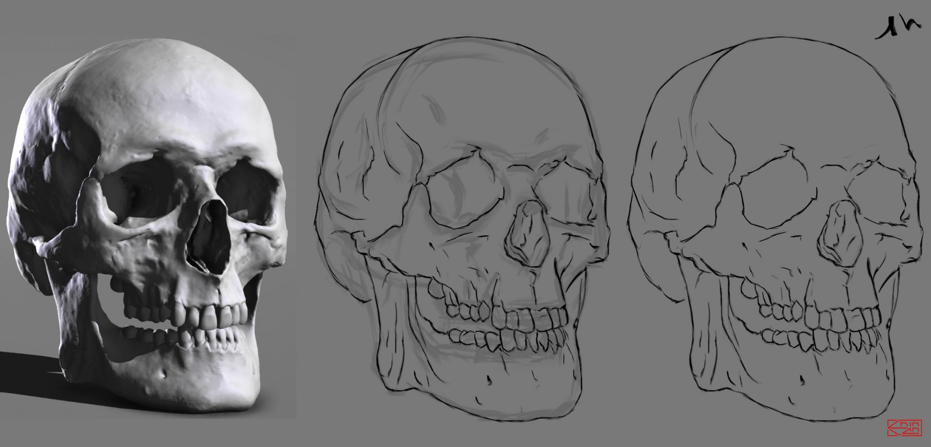 skull_DPS_croquis_shin-san-1920x922.jpg