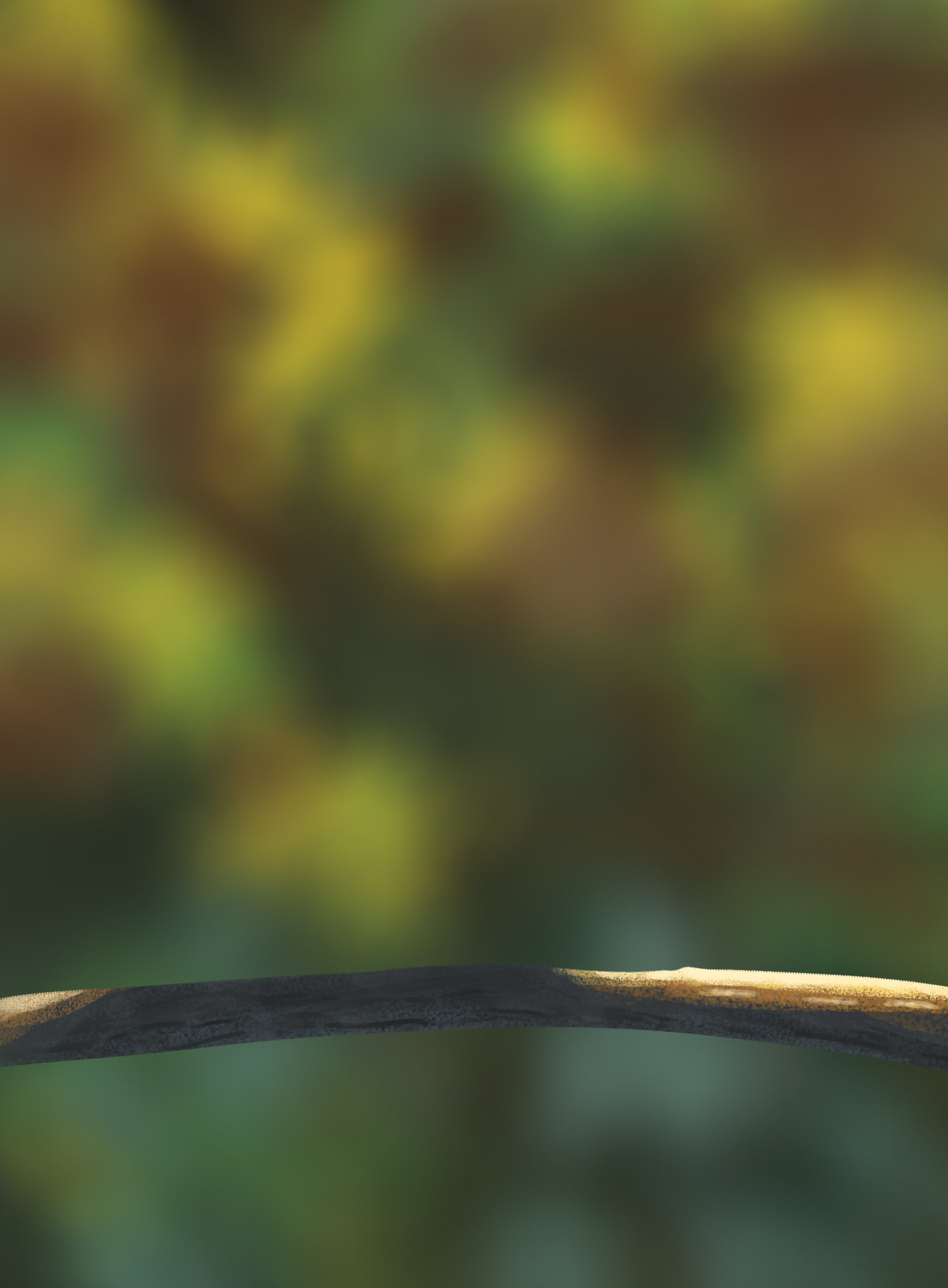 illustration-banche-oisillon-a-valider