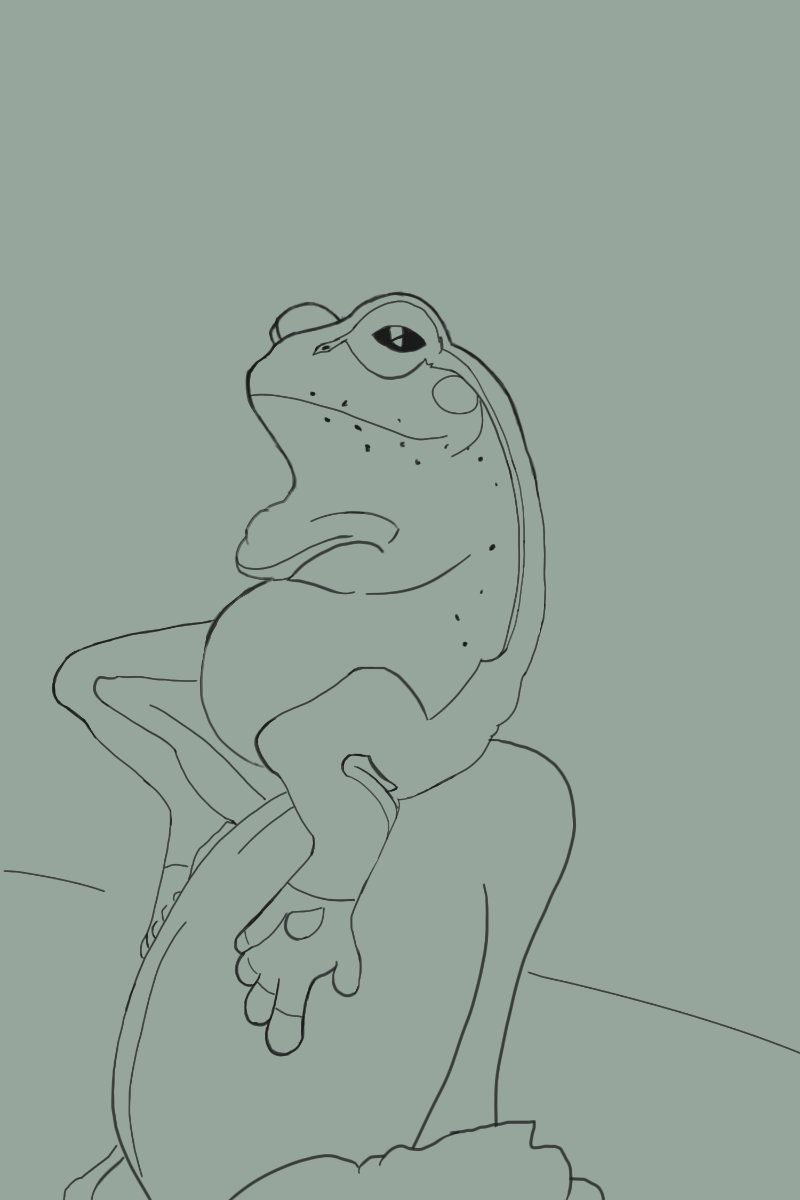 frog-croquis-cf.jpg