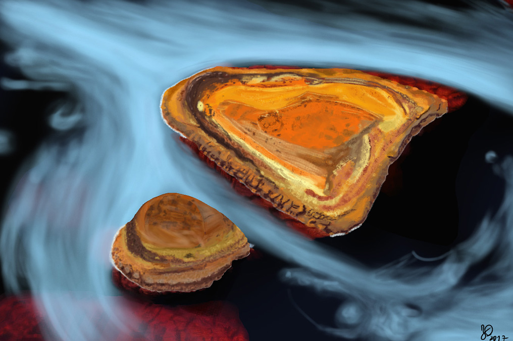 Photo_exercice-persolasso4-j4_final_mini