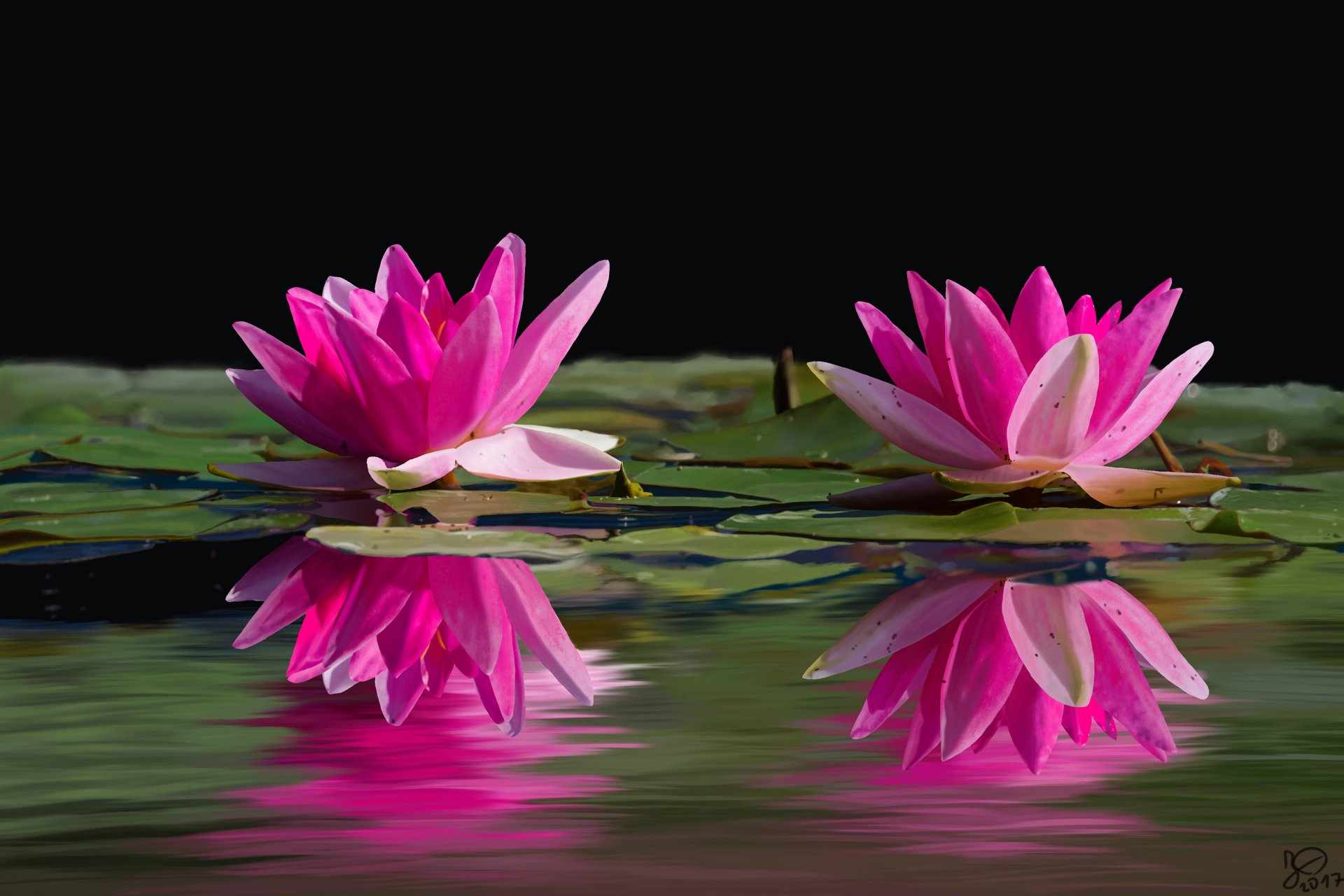 photo_exercice_lasso3_j11_final_2160p-19