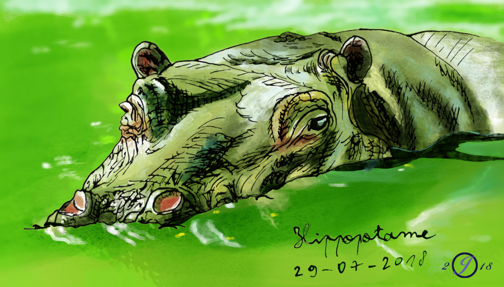 014-18_Hippopotame_Encre-de-chine_AquarellePhotoshop.jpg