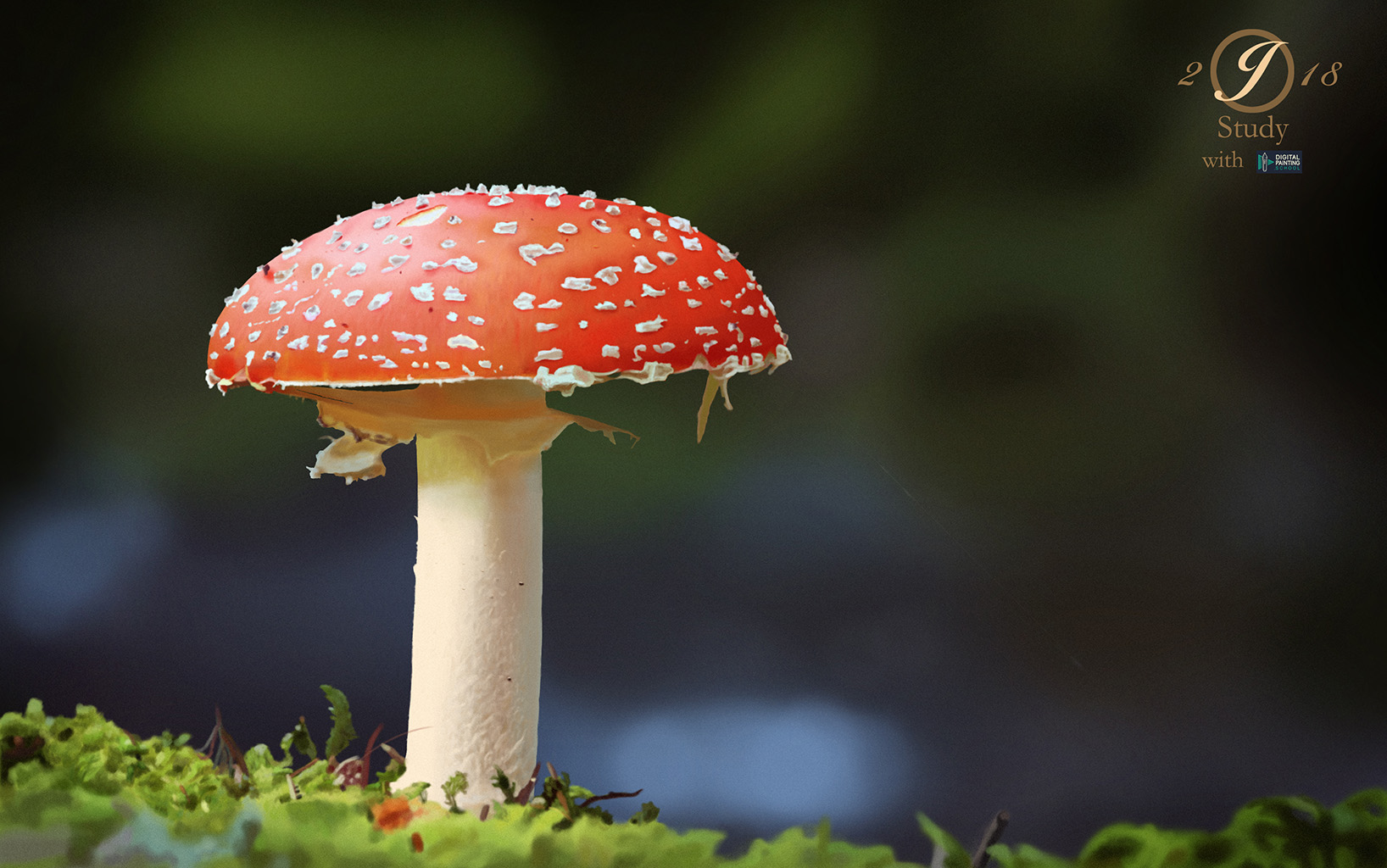 020_18_Champignon-photorealisme_SD.jpg