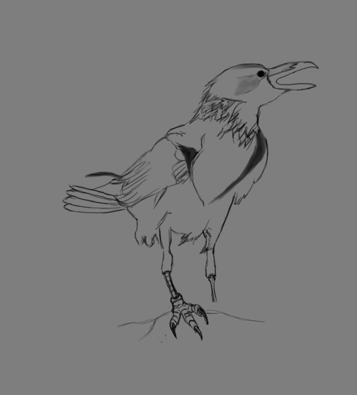 test_corbeau_croquis_part1.png