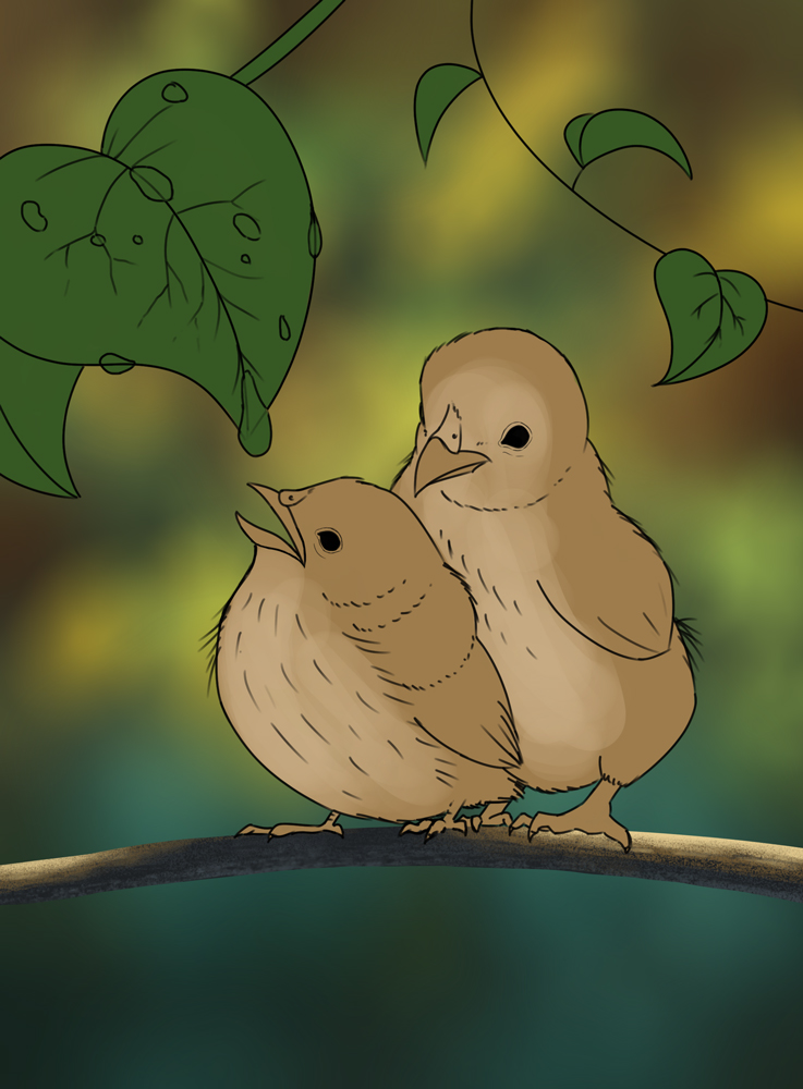 DPS-Prog-1-1-Exercice5-Oiseau-Commenceme