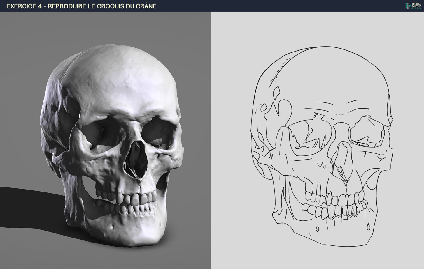 DONE-DPS-Prog-1-2-2-demo-crane-croquis-1