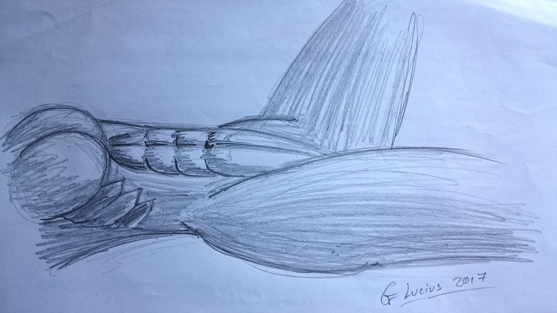 DPS-Challenge-04-Lucius-2017-06-25-1920x