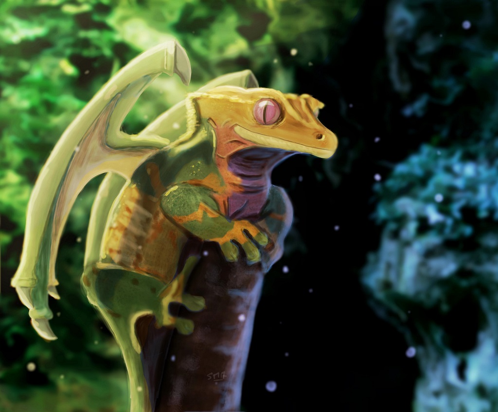 dragongecko2.jpg